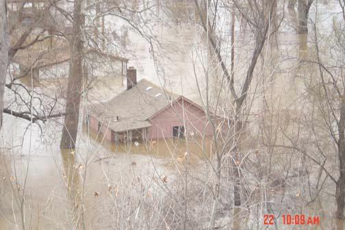 houses01.jpg