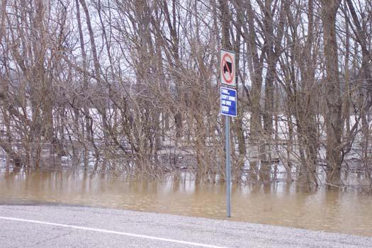 roadside01.jpg