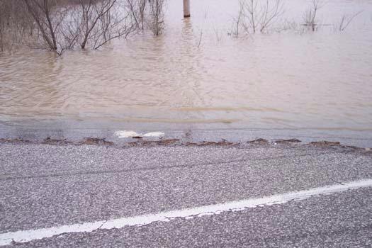 roadside02.jpg