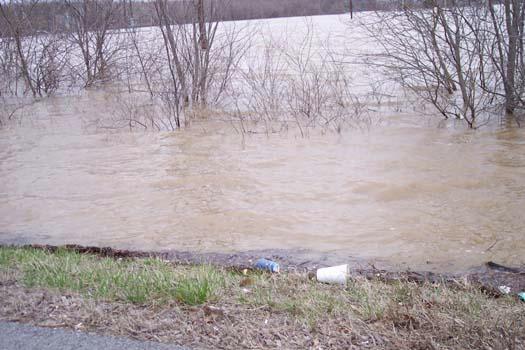 roadside03.jpg
