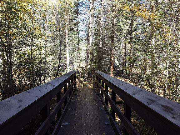 Accessible bridge in the woods at Lake Isabel