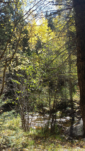 Creek at Lake Isabel