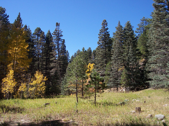 Meadow at Lake Isabel