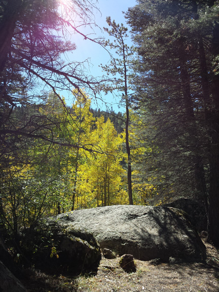 Large rock in the woods at Lake Isabel