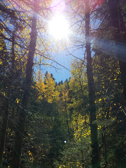 Sun through the trees Lake Isabel