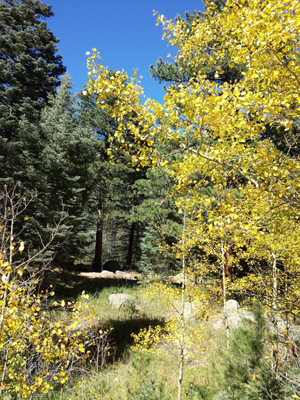 A walk in the woods at Lake Isabel