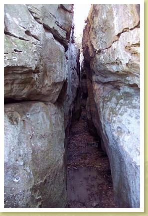 crevice2