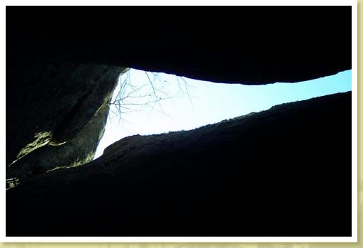 crevice3