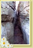 crevice2